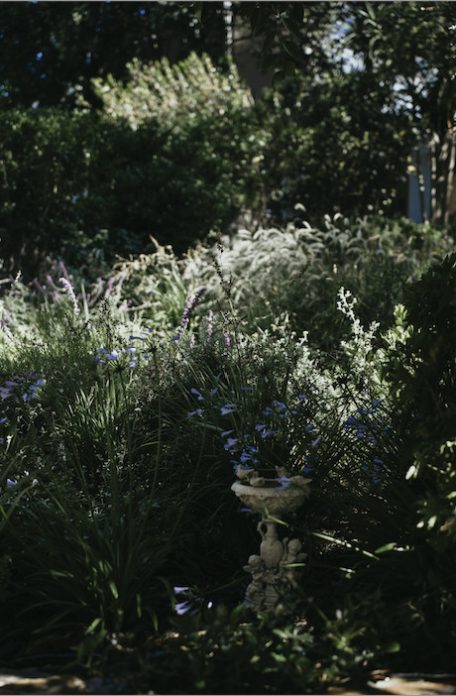 tea-garden-notes