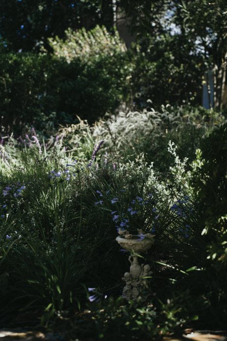 Tea Garden